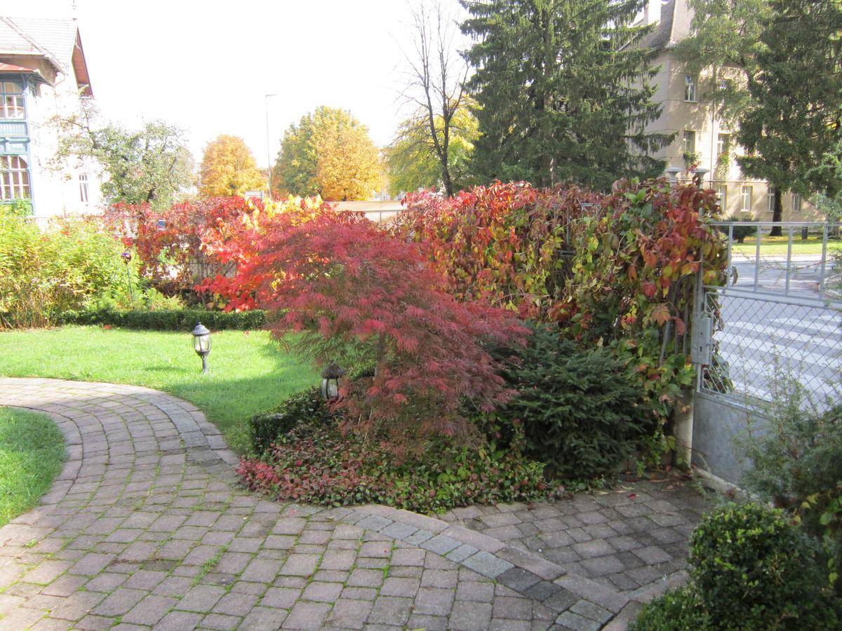 Guest House Veronika Кочев'є Екстер'єр фото